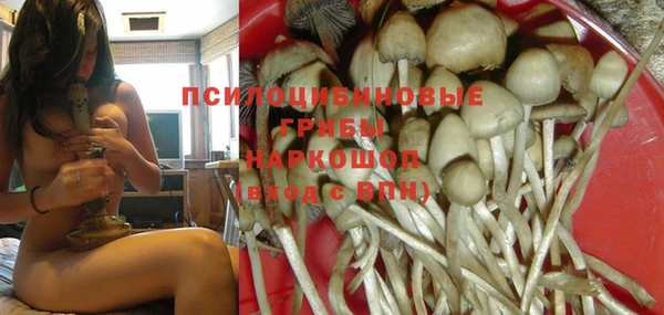 винт Куйбышев