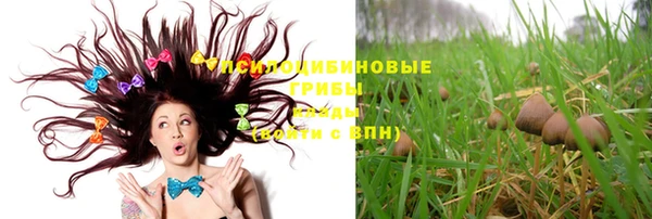 винт Куйбышев