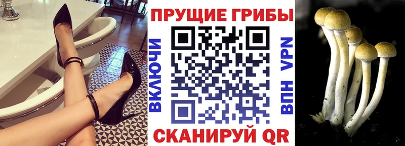 Галлюциногенные грибы мицелий  Людиново 