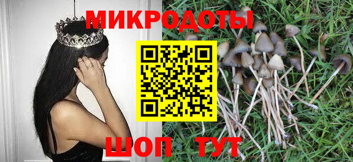 Псилоцибиновые грибы прущие грибы  Галлюциногенные грибы мицелий  Людиново  Вход с VPN 